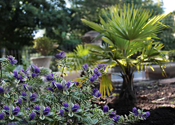 Hotel Victoria Square Clifton Village Bristol