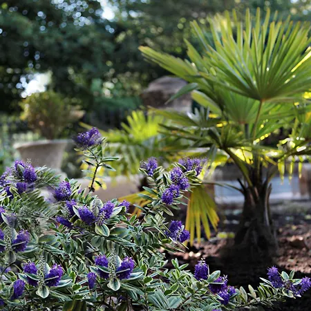 Hotell Victoria Square Clifton Village Bristol